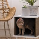 고양이집 이미지
