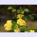 곡성-076 이미지