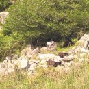 마량해수사우나 이미지