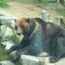 전주동물원 이미지