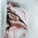 도내흑염소 이미지