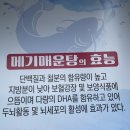청림동-9 | 포항 청림동 맛집 / 찐 동네 매운탕 맛집 [억조 메기매운탕]