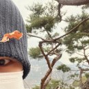 쉼터작은도서관 | 종로 인왕산 숲속쉼터 주차 도서관 가는법 둘레길 주차장
