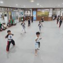 합기도 용호체육관 | 제주 삼양 합기도 용호체육관 이용후기