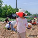 푸른유치원 이미지