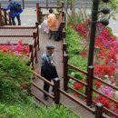 공원-23(노량진근린공원) 이미지