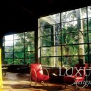 호텔정글(jungle) 이미지