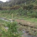 지니 행정사사무소 이미지