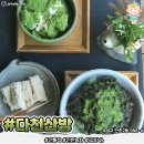 녹차카페 이미지