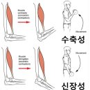 리움필라테스 - 수원시 권선구 일월천로4번길 26 | 리움필라테스