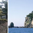 원산도·삽시도 Daum카페