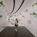 (주)다녀봄 이미지