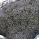 두건경로당 이미지