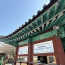 이여도 | [여수] 여수여행 끝없는 계단이여도 가볼만한 ‘향일암’ 방문후기(feat. 여수 가볼만한 곳)