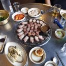 제주탐하리 이미지