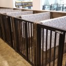 파트너펫 이미지