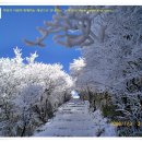 12월 25일 크리스마스 연휴 일본 ＜구주산＞ 상고대 트레킹 및 아소팜 빌리지에서 보내는 특별 이벤트 행사 이미지