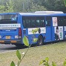 진아교통