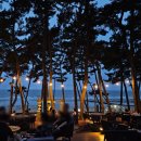 안면도발리 | 안면도 태안 리솜아일랜드 부대시설 총정리 : 꽃지...오아식스 선셋스파 수영장 야외버스킹 가격 이용후기