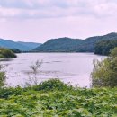 반곡저수지 이미지