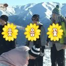 나능이능이버섯백숙춘천점 이미지