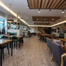 대구애견 이미지