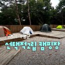 가평조종조종-1 | 가평 선택적고립 크루존1 후기 | 캠린이, 화장실 위치
