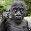 삶의 터 - 합(合 | 쨘✨ 국세청 인턴 합•격 수기(26년도 상반기_서류 및 면접)