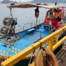 왜목해맞이 좌대낚시터 이미지