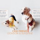 펫스토어 이미지