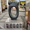 온천단지 가로수길 이미지