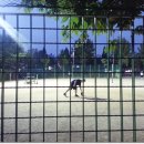 구월게이트볼장 이미지