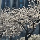 상무유도관 이미지