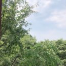 윤희피부관리
