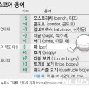486 골프 이미지