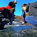 양오낚시터 이미지