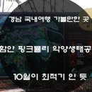 여항산 정원펜션 이미지