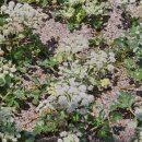 용경회식당 이미지