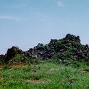 중문동-1 이미지