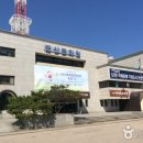 군산대학교 | [전라북도 군산시] 국립군산대학교 박물관