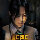 21세기랜드 네이버블로그