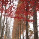 경주산림환경연구원 이미지