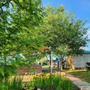 금창농장 | [내돈내산] 청주 키즈수영장/낚시체험/텃밭체험 청주 꼬물꼬물 낚시 캠프 정보 및 솔직후기