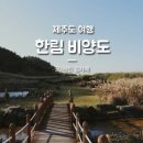 용수보건진료소 | 제주 한림 비양도 배시간 및 가는법