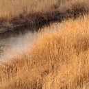 청도강변돌고래펜션 이미지