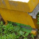 우곡면사무소 이미지