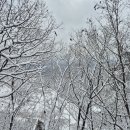 삼수령 휴게소 이미지