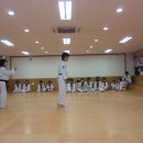 경북대 동부태권도 이미지