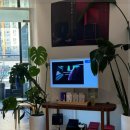 더힐한의원 이미지