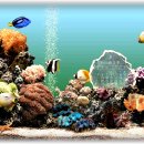 수족관 화면보호기 최신판 Marine Aquarium v2.6 (스크린세이버) 이미지